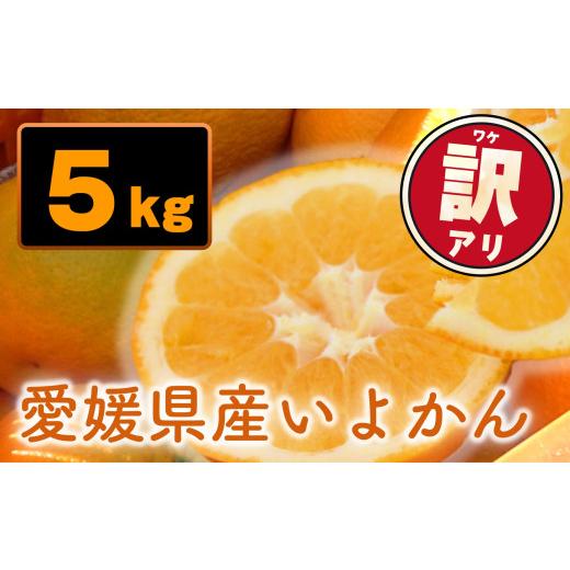ふるさと納税 みかん・柑橘類 愛媛県 松山市 2027年1月上旬頃から順次発送 訳あり 愛媛県産 宮内いよかん 5kg | 宮内伊予柑 いよかん 蜜柑 伊予柑 わけあり …