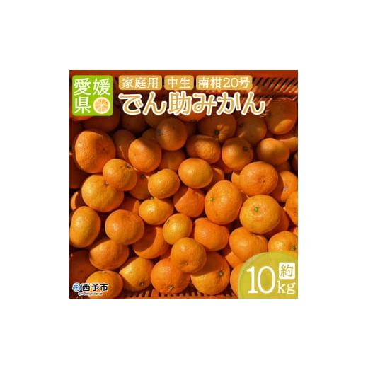 ふるさと納税 果物類 みかん 愛媛県 西予市 でん助農園の温州みかん 南柑20号 約10kg(家庭用) 果物 フルーツ ミカン オレンジ 柑橘類 うんしゅうみかん 南…