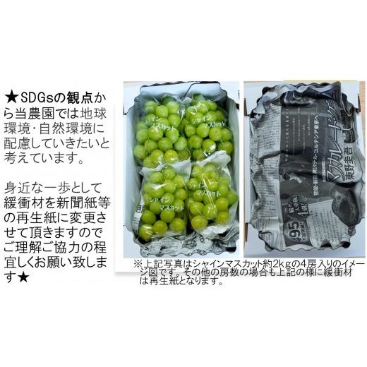 ふるさと納税 ぶどう マスカット 広島県 世羅町 シャインマスカット 約3kg(4〜7房) 先行予約・数量限定 カナダ人農園主 ぶどう ブドウ マスカット フルーツ 果…の画像