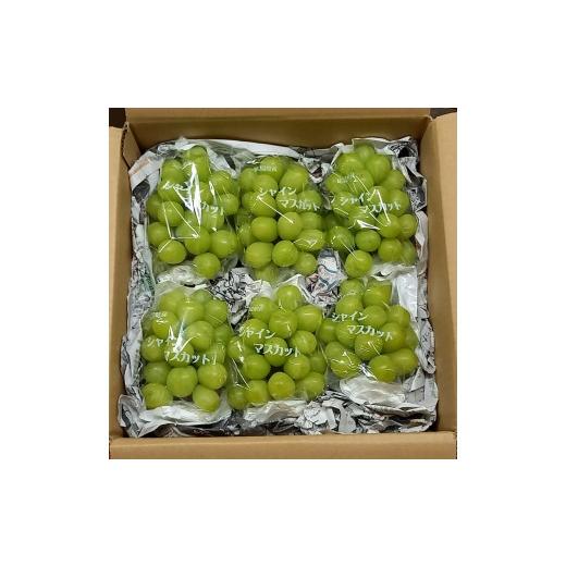 ふるさと納税 ぶどう マスカット 広島県 世羅町 シャインマスカット 約3kg(4〜7房) 先行予約・数量限定 カナダ人農園主 ぶどう ブドウ マスカット フルーツ 果…の画像