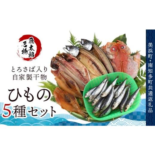 ふるさと納税 干物 サバ 愛知県 美浜町 美浜町・南知多町共通返礼品 年間100万枚販売 魚太郎名物 とろさば 入り・自家製ひもの5種セット 鮮度にこだわる魚屋…