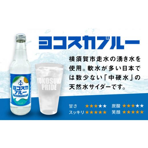ふるさと納税 炭酸飲料 ソーダ水 神奈川県 横須賀市  全6回定期便 天然水サイダー ヨコスカブルー10本セット （340ml瓶×60本）地サイダー 天然水 ミネラルウ…の画像