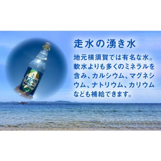 ふるさと納税 炭酸飲料 ソーダ水 神奈川県 横須賀市  全12回定期便 天然水サイダー ヨコスカブルー20本セット （340ml瓶×計240本) 天然水 サイダー クラフト…の画像