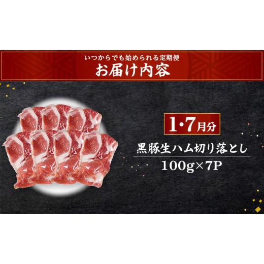 ふるさと納税 鹿児島県 鹿児島市 【全6回】お肉の宝石箱定期便〈いつからでも始められる〉　K086-T17｜furusatochoice｜03