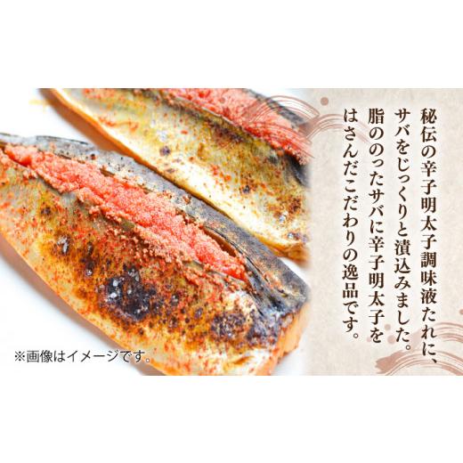 ふるさと納税 魚貝類 明太子 福岡県 豊前市  全12回定期便 さば明太 大容量16枚 秘伝の辛子明太子 液たれ仕込み《豊前市》 株式会社マル五 VCL074_2
