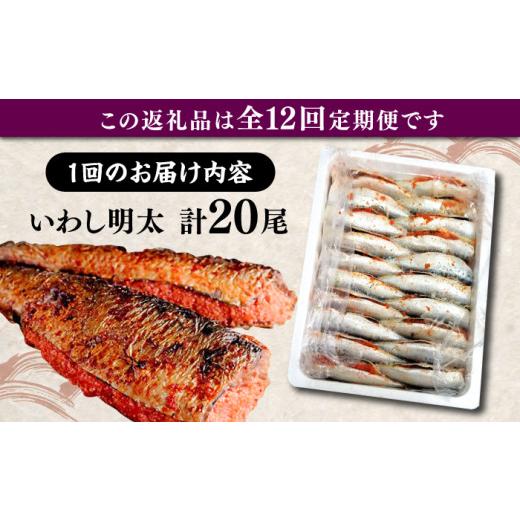 ふるさと納税 魚貝類 明太子 福岡県 豊前市  全12回定期便 ピリ辛 いわし明太20尾《豊前市》 株式会社マル五 VCL080_3