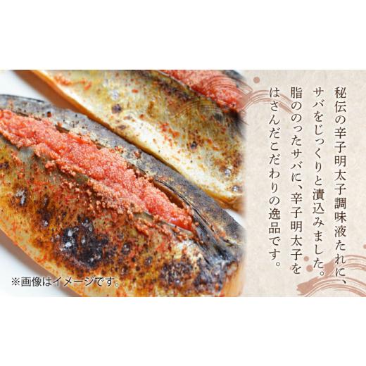 ふるさと納税 魚貝類 明太子 福岡県 豊前市  全12回定期便 さば明太6枚・いわし明太6尾セット《豊前市》 株式会社マル五 VCL083_2