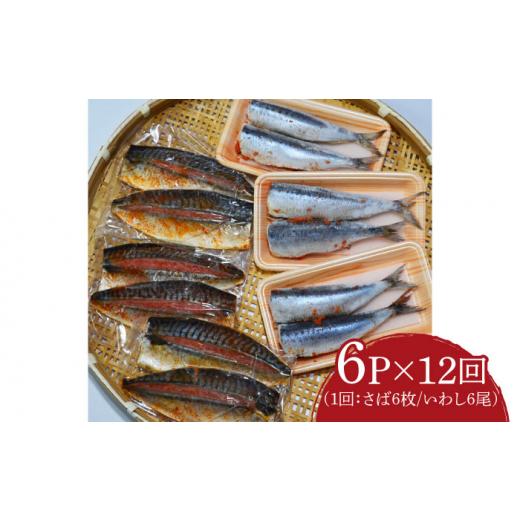 ふるさと納税 魚貝類 明太子 福岡県 豊前市  全12回定期便 さば明太6枚・いわし明太6尾セット《豊前市》 株式会社マル五 VCL083_4