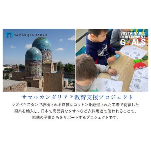 ふるさと納税 タオル・寝具 バスタオル 愛媛県 今治市 （今治タオルブランド認定）HOME バスタオル 2枚セット (ホワイト) I000440W_6