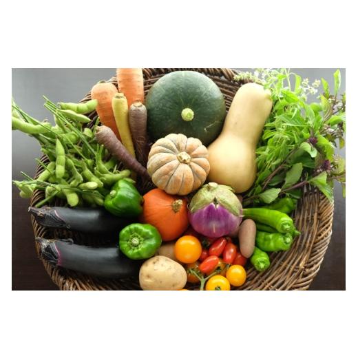 ふるさと納税 セット・詰合せ 愛知県 江南市 野菜 夏野菜 セット 6〜8種類 Dvege 愛知県 江南市 ko23btu130001 詰め合わせ 季節野菜 国産 旬 葉野菜 根菜 人参…