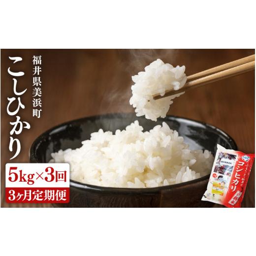ふるさと納税 米 コシヒカリ 福井県 美浜町 定期便 3ヶ月連続お届け 米 令和7年産 新米 コシヒカリ 5kg × 3回 (計15kg)精米 福井県美浜町産 m60-b005