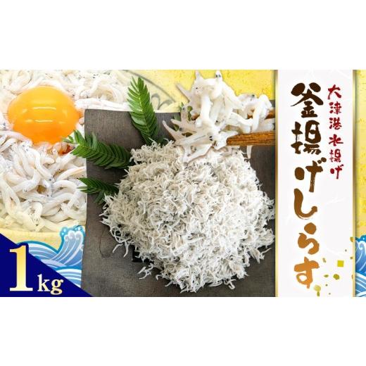 ふるさと納税 魚貝類 しらす 茨城県 河内町 釜揚げしらす 大津港水揚げ しらす 1kg (茨城県共通返礼品:北茨城市) 川崎水産有限会社 [30日以内に出荷予定(土…
