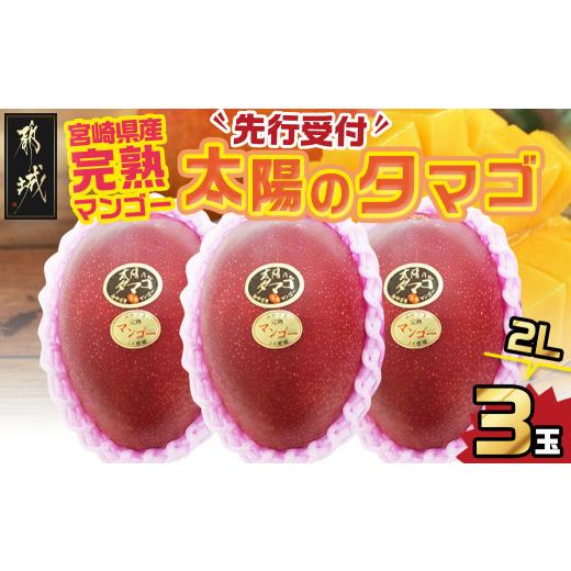 ふるさと納税 マンゴー 宮崎県 都城市 先行受付 宮崎県産完熟マンゴー 太陽のタマゴ 2L×3玉 化粧箱入り 2026年5月中旬以降順次お届け _AF-0116_(都城市) 宮…