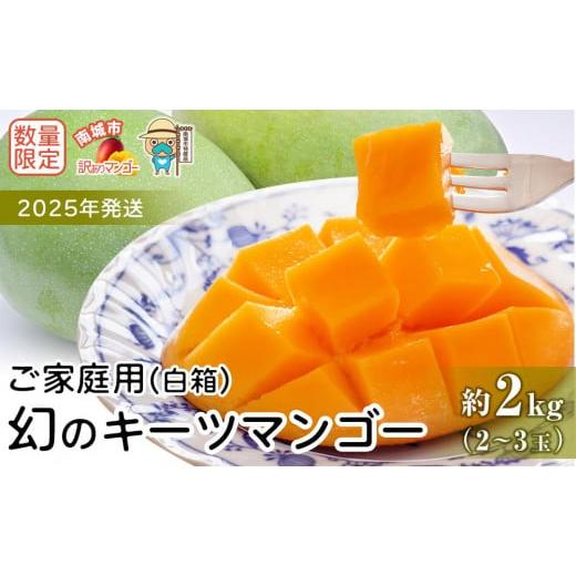 書家 しんらん 炎流 掛軸 厄除け 魔除け 書道作品 書家 しんらん 炎流 掛軸 厄除け 魔除け 書道作品 - メルカリ