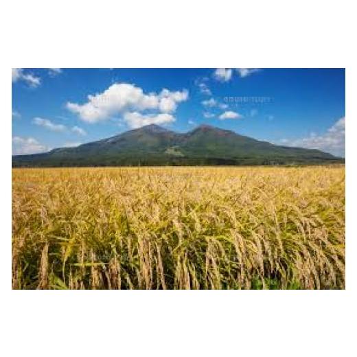 米 コシヒカリ 福島県 会津若松市 こしひかり (精米) 10kg 赤べこパッケージ 会津若松市産｜令和6年産 2024年産 コシヒカリ お米 米 こめ 精米 … 【上毛町】