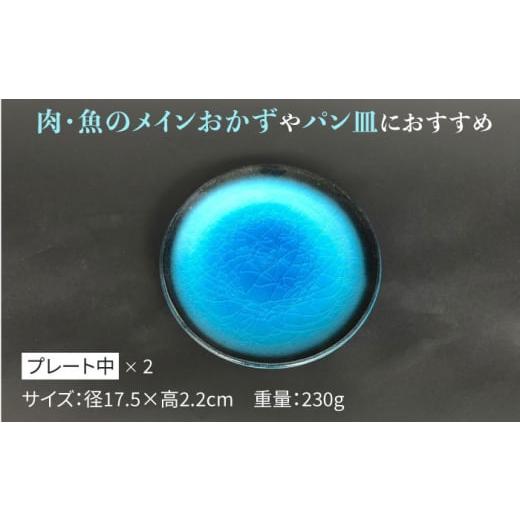 ふるさと納税 陶磁器・漆器・ガラス 岐阜県 多治見市  美濃焼 プレート 大 ・ 中 ・ 小 各2 計6点 （つや有） 東山窯 TDU010の画像