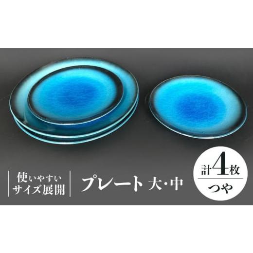 ふるさと納税 陶磁器・漆器・ガラス 岐阜県 多治見市  美濃焼 プレート 大 ・ 中 各2 計4点 （つや有） 東山窯 TDU011_1