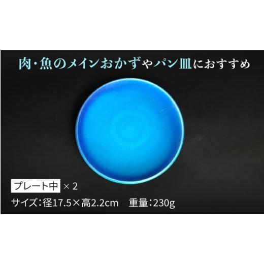 ふるさと納税 陶磁器・漆器・ガラス 岐阜県 多治見市  美濃焼 プレート 大 ・ 中 ・ 小 各2 計6点 （マット） 東山窯 TDU013の画像