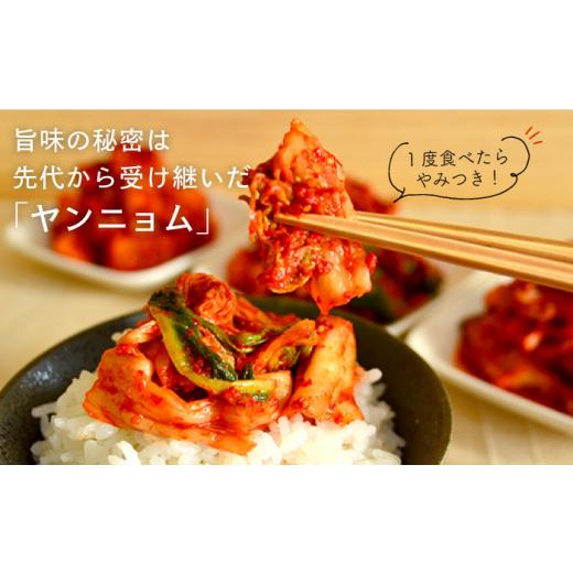 ふるさと納税 福岡県 糸島市 【全6回定期便】玉家 の キムチ セット B ( 白菜 ／ 葱 ／ 胡瓜 ／ 大根 )糸島市 ／ 玉家のキムチ工房【いとしまごころ】 [AAE012…｜furusatochoice｜03