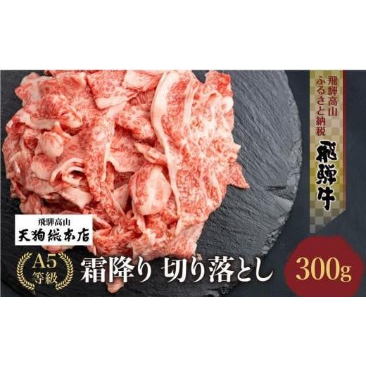 ふるさと納税 牛肉 岐阜県 高山市 2月発送 A5等級 飛騨牛 霜降り 切り落とし 300g 日付指定不可 | ブランド牛 和牛 雌牛 5等級 A5ランク 切落し 薄切り バラ…