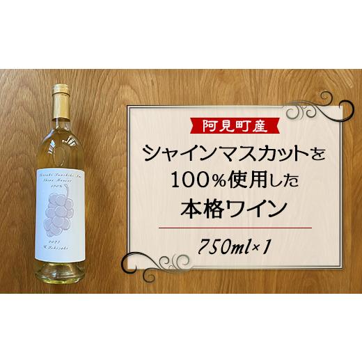 ふるさと納税 茨城県 阿見町 11-04 白 ワイン 100% 国産 シャインマスカット 2022年醸造 H.Ichizaki