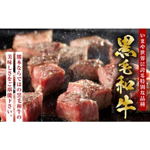 ふるさと納税 牛肉 モモ 熊本県 山鹿市  12回定期便 熊本県産 黒毛和牛 もも 食べ比べ セット 約1kg 国産 牛肉 和牛 もも肉 もも焼肉用 薄切り ブロック 焼き…_2