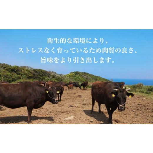 ふるさと納税 牛肉 モモ 熊本県 山鹿市  12回定期便 熊本県産 黒毛和牛 もも 食べ比べ セット 約1kg 国産 牛肉 和牛 もも肉 もも焼肉用 薄切り ブロック 焼き…_6