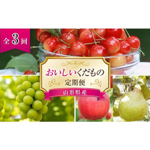 ふるさと納税 山形県 南陽市 [令和6年産先行予約] [定期便3回] おいしいくだもの定期便 『最上屋』 旬 果物 フルーツ 定期便 食べ比べ さくらんぼ ぶどう …