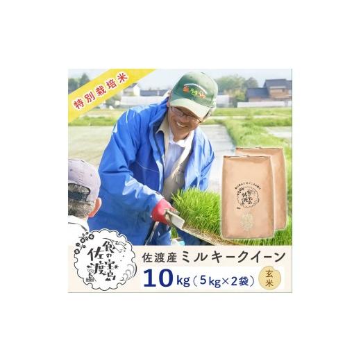 ふるさと納税 米 ミルキークイーン 新潟県 佐渡市 佐渡島産ミルキークイーン 玄米10kg(5kg×2袋) 令和7年産 特別栽培米