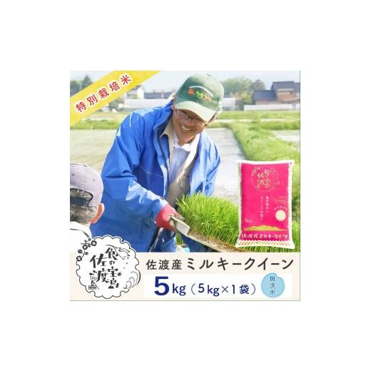 ふるさと納税 米 ミルキークイーン 新潟県 佐渡市 佐渡島産ミルキークイーン 無洗米5kg 令和7年産 特別栽培米