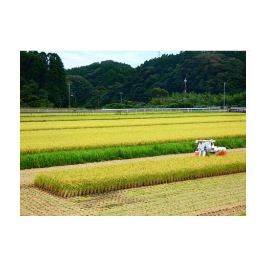 ふるさと納税 千葉県 御宿町 B426　御宿産コシヒカリブレンド白米１５ｋｇ｜furusatochoice｜04