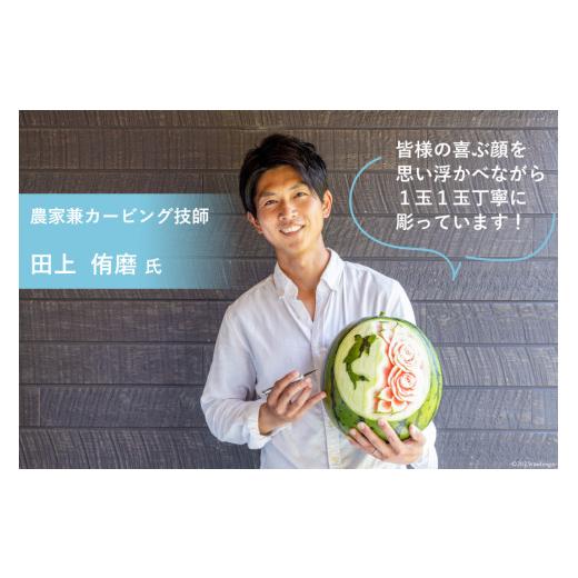お買い得！ ふるさと納税 長崎県 島原市 AH062-C-3 超数量限定！スイカ農家が贈る唯一の贅沢！！大玉スイカ「羅皇」のフルーツカービング【デザイン固定・6月お届け】スイ… 【P1447722210】(51000円)