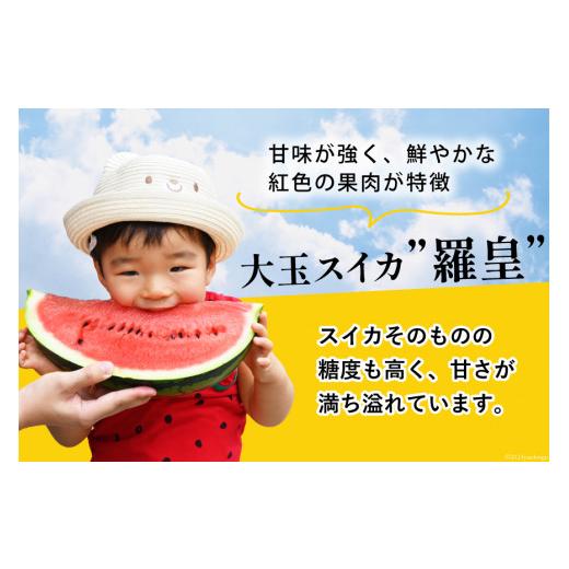 お買い得！ ふるさと納税 長崎県 島原市 AH062-C-3 超数量限定！スイカ農家が贈る唯一の贅沢！！大玉スイカ「羅皇」のフルーツカービング【デザイン固定・6月お届け】スイ… 【P1447722210】(51000円)