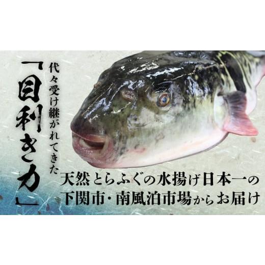 ふるさと納税 旬の鮮魚等 山口県 下関市 ふぐ 天然 プレミアムセット+α 5~6人前 刺身200g ちり1kg 冷凍 ふぐちり 鍋 とらふぐ 高級魚 皮 焼きヒレ ポン酢 も…_3