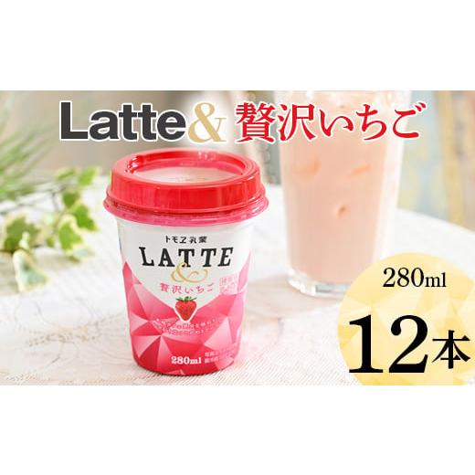 画像の説明