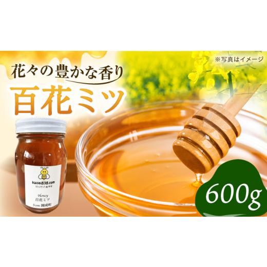 ふるさと納税 加工品等 はちみつ 神奈川県 開成町  先行予約 数量限定 蜂蜜 開成町の「百花ミツ」 600g 合同会社HealthPrime 開成町 ハチミツ 国産はちみつ 国…_1