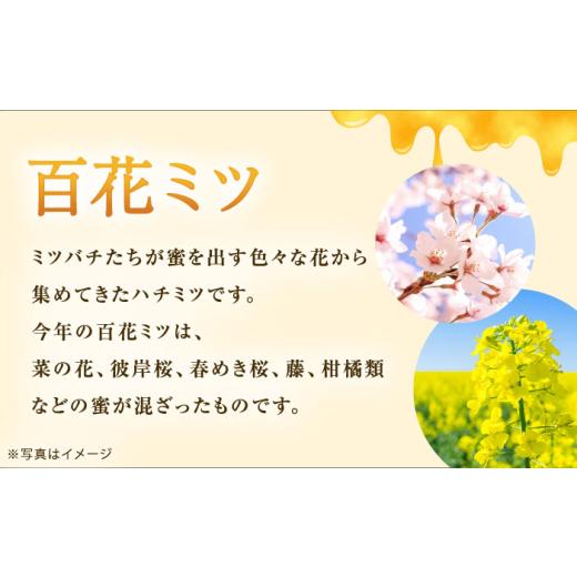 ふるさと納税 加工品等 はちみつ 神奈川県 開成町  先行予約 数量限定 蜂蜜 開成町の「百花ミツ」 600g 合同会社HealthPrime 開成町 ハチミツ 国産はちみつ 国…_2