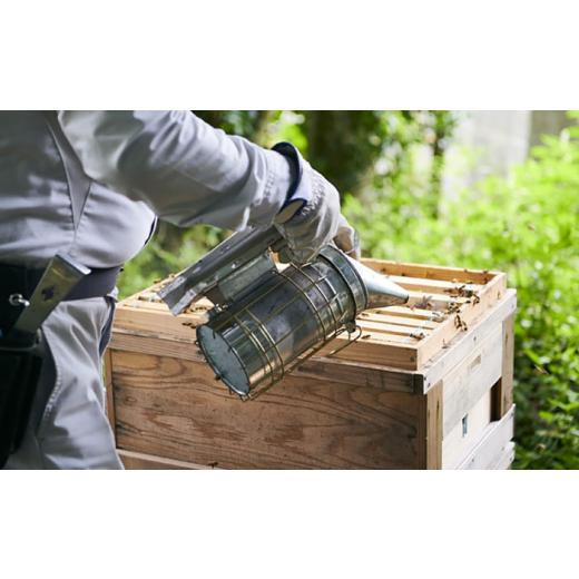 ふるさと納税 加工品等 はちみつ 神奈川県 開成町  先行予約 数量限定 蜂蜜 開成町の「百花ミツ」 600g 合同会社HealthPrime 開成町 ハチミツ 国産はちみつ 国…_5