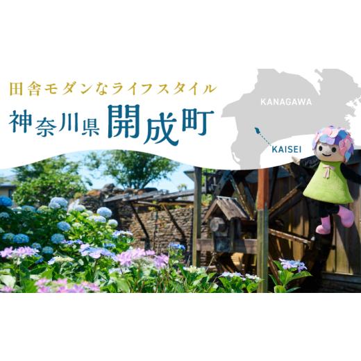 ふるさと納税 加工品等 はちみつ 神奈川県 開成町  先行予約 数量限定 蜂蜜 開成町の「百花ミツ」 600g 合同会社HealthPrime 開成町 ハチミツ 国産はちみつ 国…_6