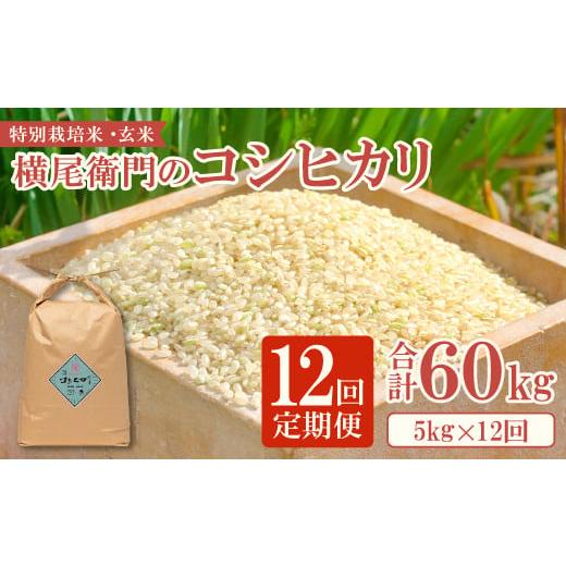 ふるさと納税 島根県 益田市 [定期便]横尾衛門のコシヒカリ 玄米5kg 12回コース[定期便 定期 12回 米 お米 ブランド米 こしひかり コシヒカリ 玄米 5kg×12…