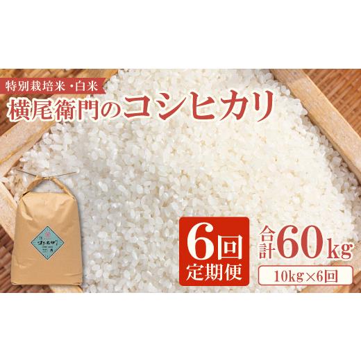 ふるさと納税 島根県 益田市 【定期便】横尾衛門のコシヒカリ 白米 10kg×6回コース【新米 令和5年産 2023年産 定期便 定期 6回 米 お米 白米 精米 特別栽培米… 定期便 白米 定期