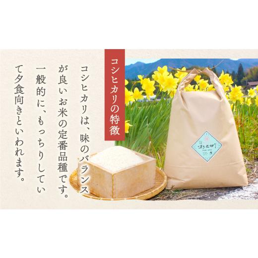 ふるさと納税 島根県 益田市 【定期便】横尾衛門のコシヒカリ 白米 10kg×6回コース【新米 令和5年産 2023年産 定期便 定期 6回 米 お米 白米 精米 特別栽培米… 定期便 白米 定期