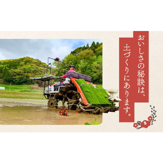 ふるさと納税 島根県 益田市 【定期便】横尾衛門のコシヒカリ 白米 10kg×6回コース【新米 令和5年産 2023年産 定期便 定期 6回 米 お米 白米 精米 特別栽培米… 定期便 白米 定期