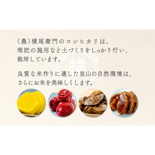 ふるさと納税 島根県 益田市 【定期便】横尾衛門のコシヒカリ 白米 10kg×6回コース【新米 令和5年産 2023年産 定期便 定期 6回 米 お米 白米 精米 特別栽培米… 定期便 白米 定期