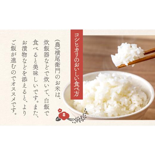 ふるさと納税 島根県 益田市 【定期便】横尾衛門のコシヒカリ 白米 10kg×6回コース【新米 令和5年産 2023年産 定期便 定期 6回 米 お米 白米 精米 特別栽培米… 定期便 白米 定期