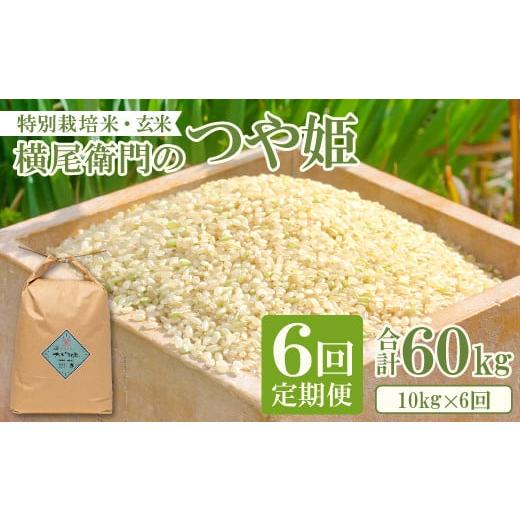 ふるさと納税 玄米 島根県 益田市 定期便 横尾衛門のつや姫 玄米10kg 6回コース 新米 定期便 定期 6回 米 お米 ブランド米 つや姫 ツヤ姫 玄米 10kg×6回 合…