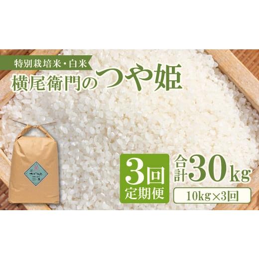 ふるさと納税 米 つや姫 島根県 益田市 定期便 横尾衛門のつや姫 白米 10kg×3回コース 新米 定期便 定期 3回 米 お米 白米 精米 特別栽培米 低農薬 低化学肥…