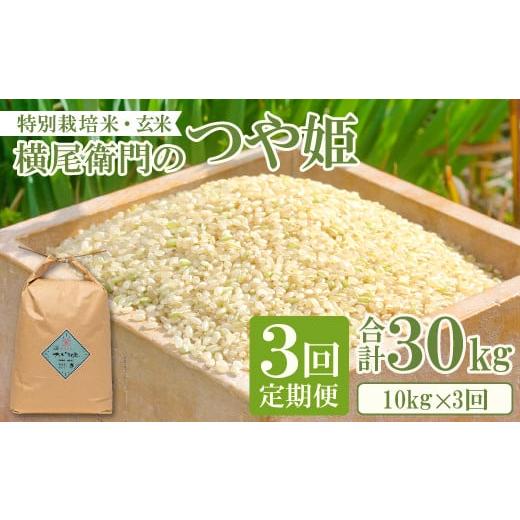ふるさと納税 米 つや姫 島根県 益田市 定期便 横尾衛門のつや姫 玄米 10kg×3回コース 新米 定期便 定期 3回 米 お米 玄米 特別栽培米 低農薬 低化学肥料 ブ…