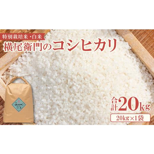 ふるさと納税 米 コシヒカリ 島根県 益田市 横尾衛門のコシヒカリ 白米 20kg 新米 米 お米 白米 精米 特別栽培米 低農薬 低化学肥料 ブランド米 コシヒカリ 20…