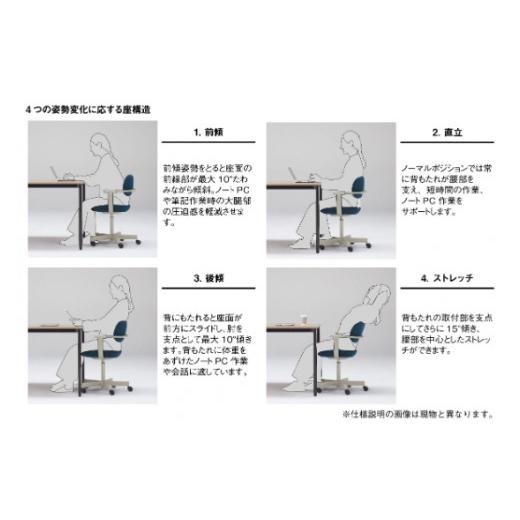 ふるさと納税 家具 滋賀県 近江八幡市 オフィスチェア イトーキ バーテブラ03 （vertebra03）ワークチェア お客様組立品 ( かんたん組立 ) ／ 5本脚 本体：チ…の画像